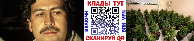 Где купить Северская СОЛЬ  Амфетамин  ГАШИШ  Канабис  Мефедрон 