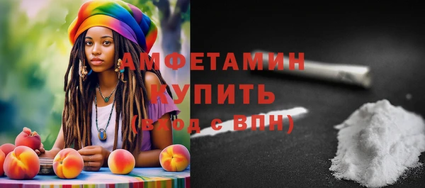 твердый Няндома