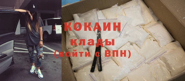 твердый Няндома