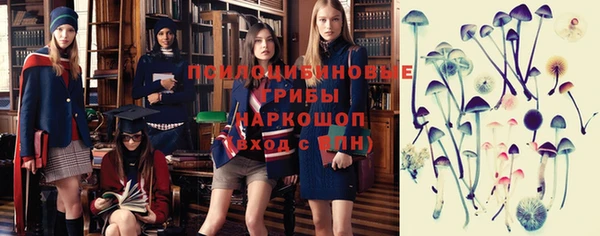 амф Нязепетровск