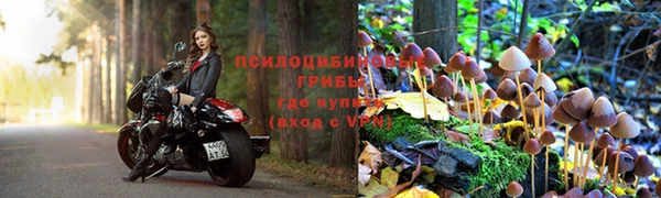 амф Нязепетровск