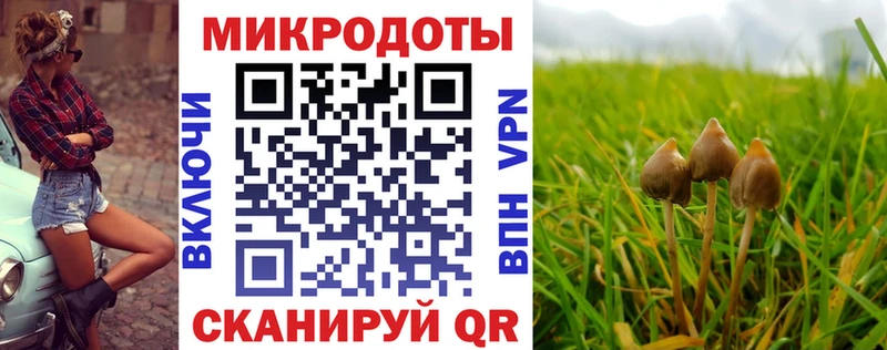 дарнет шоп  Северская  Псилоцибиновые грибы ЛСД 